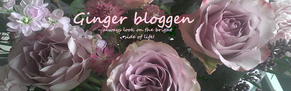 Ginger bloggen