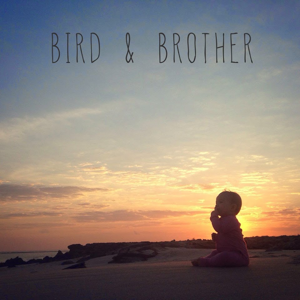 bird and brother