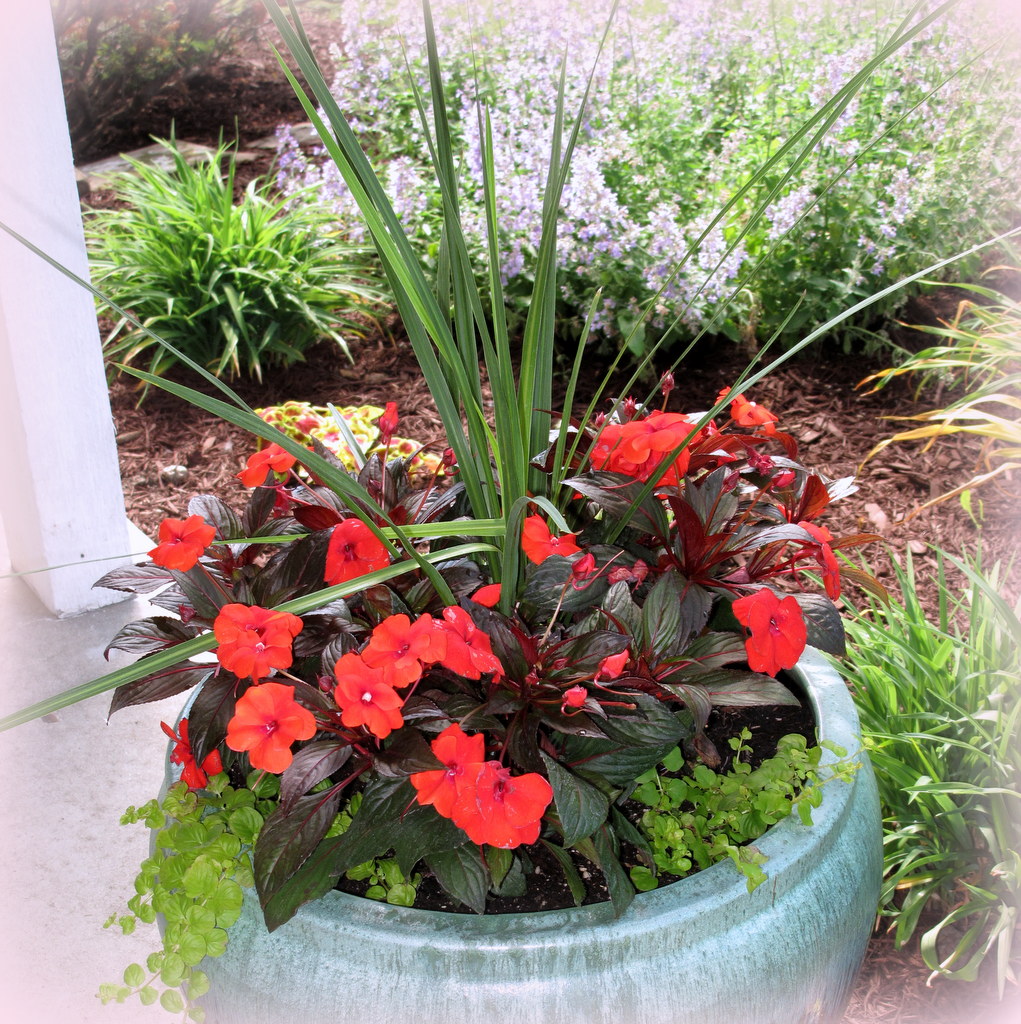 Coffee Time to Share Flower containers