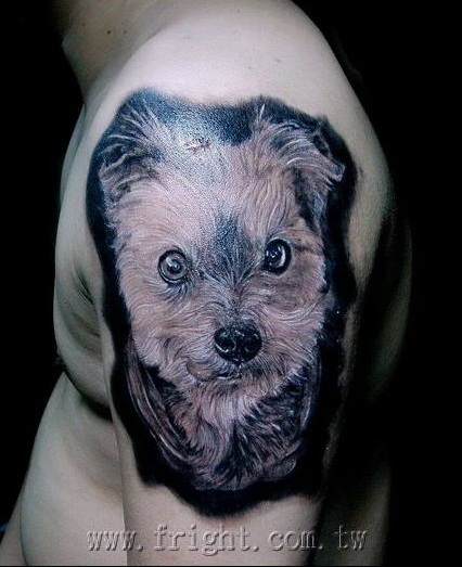 Labels Dog tattoos