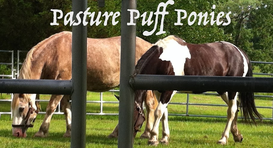Pasture Puff Ponies
