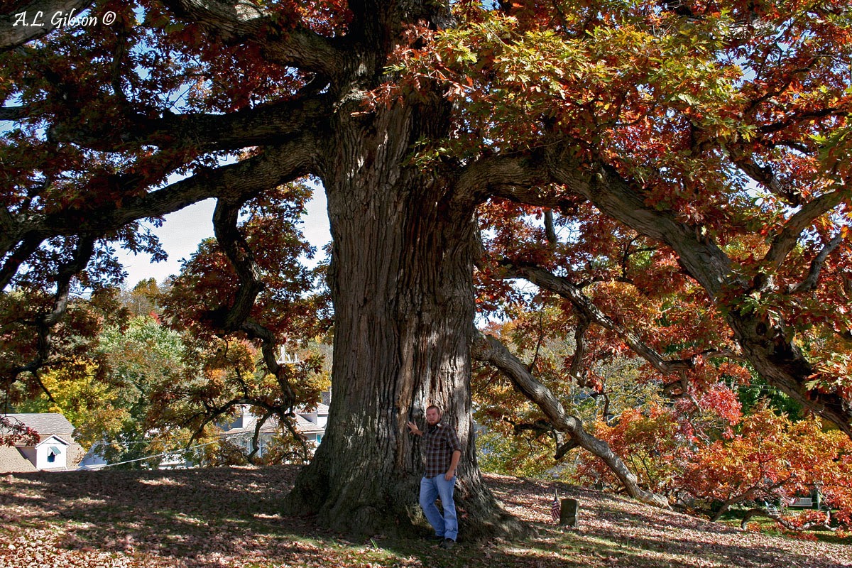 The Buckeye Botanist 12/01/2013 01/01/2014