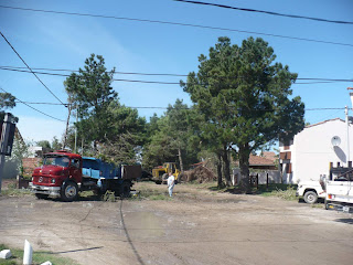 Las+Toninas+Temporal