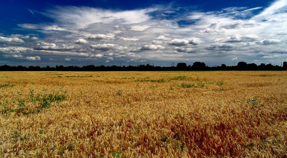 Chi viaggia impara Immagini dal mondo Ungheria (F)