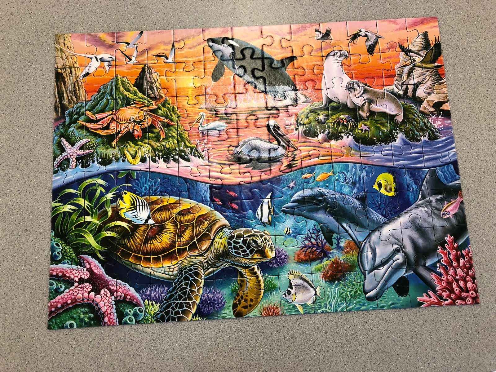We finished another 100 piece puzzle