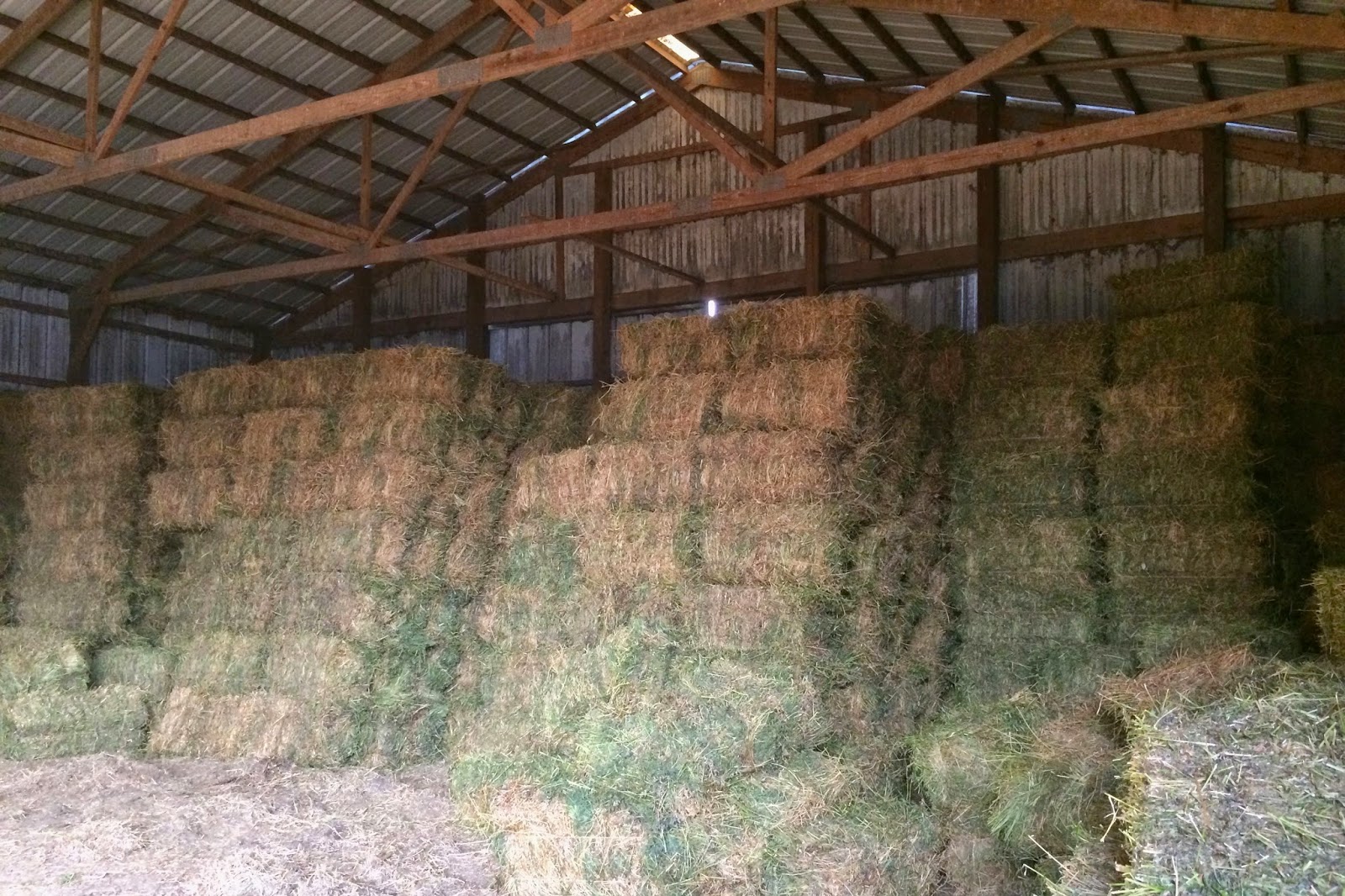 My Barnyard View Hay Two Ways