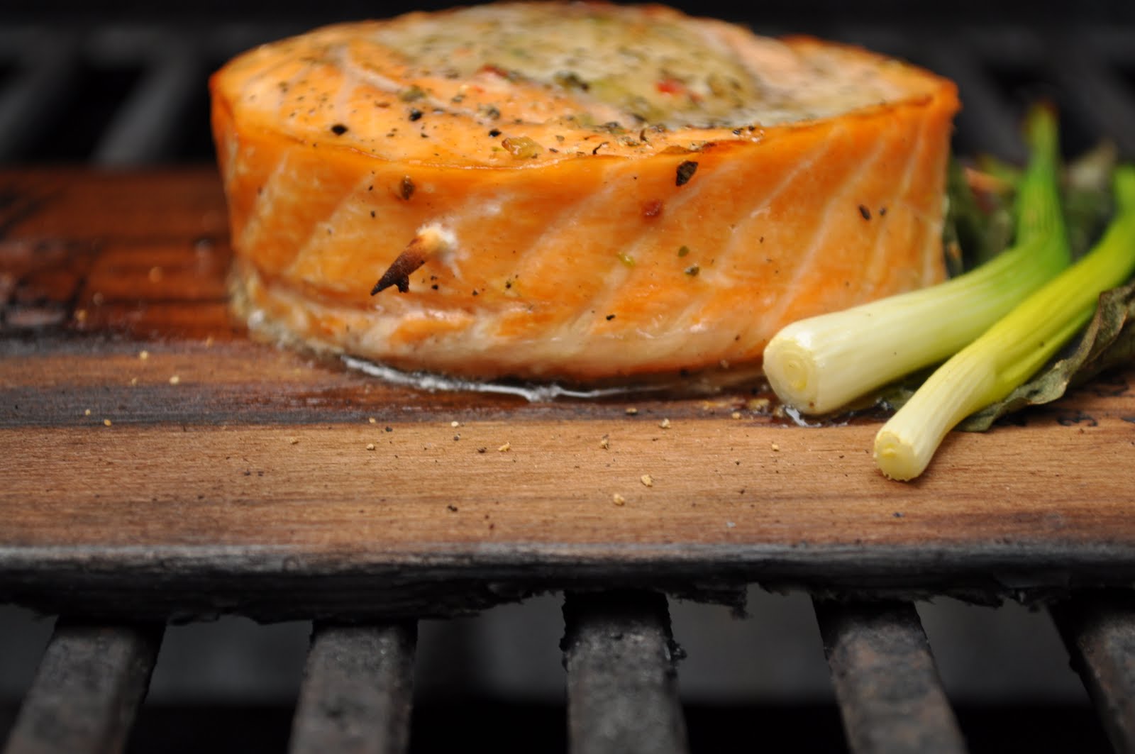 Outdoor Gourmet Cedar Planked Salmon Wrapped Sea Scallop