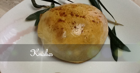 knish knishes