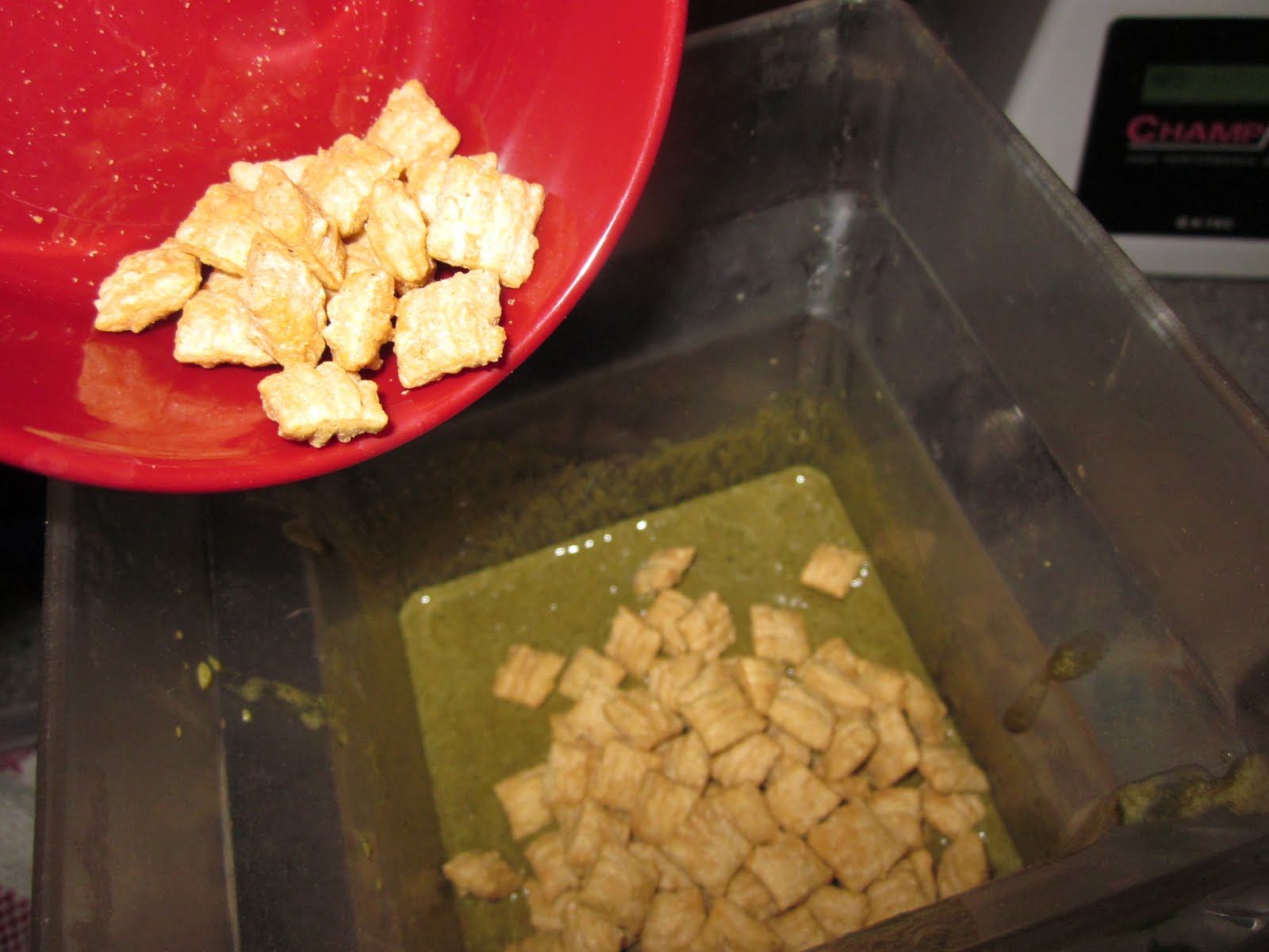 Our Life with 12 Kids * ** Chocolate Spinach Protein Shake