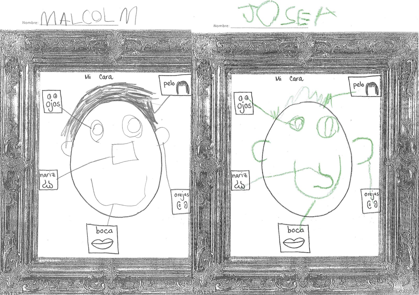 Spanish Simply Teaching the Parts of the Face / Partes de la Cabeza