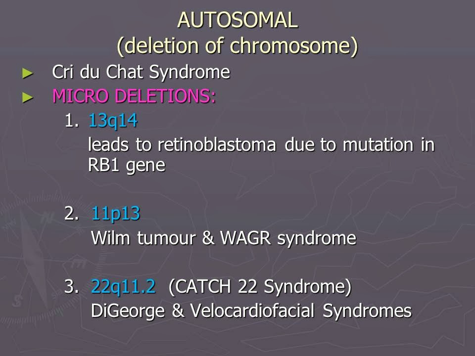 Slide 43