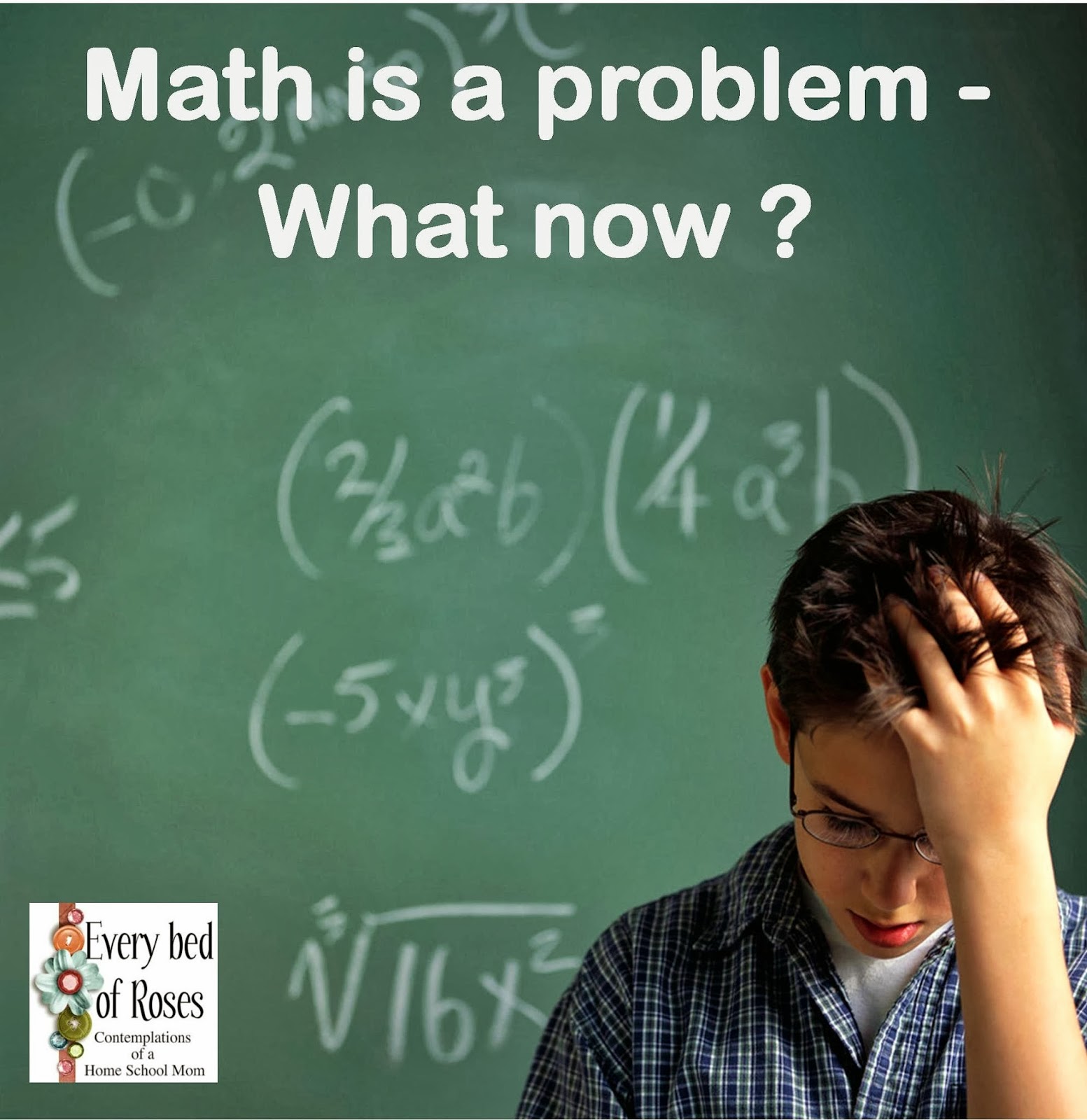 Every Bed of Roses Math is a problem What now