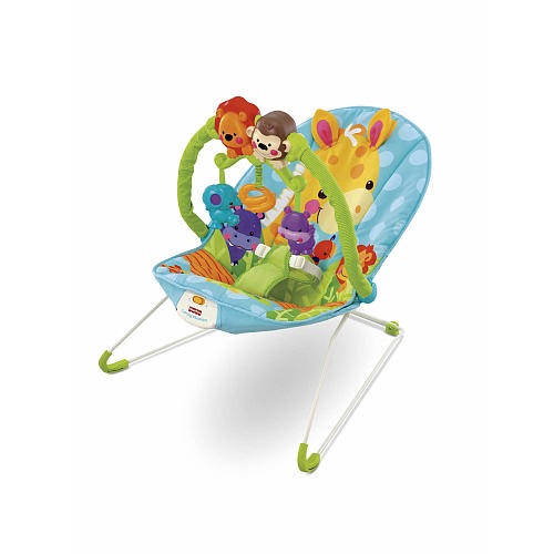fisher price precious planet bouncer