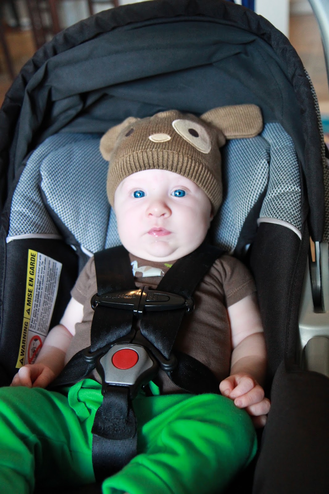 Our Campbell Soup How much is that Easton in the Window?