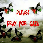 pray for gaza