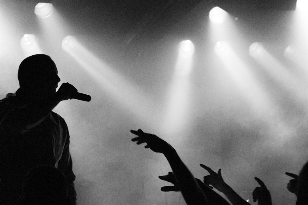 Juliliciouss Abstand In Dresden Palmen Aus Plastik In Berlin