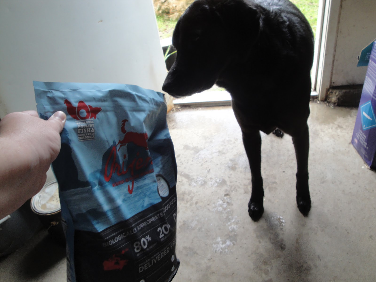 orijen dog food chewy