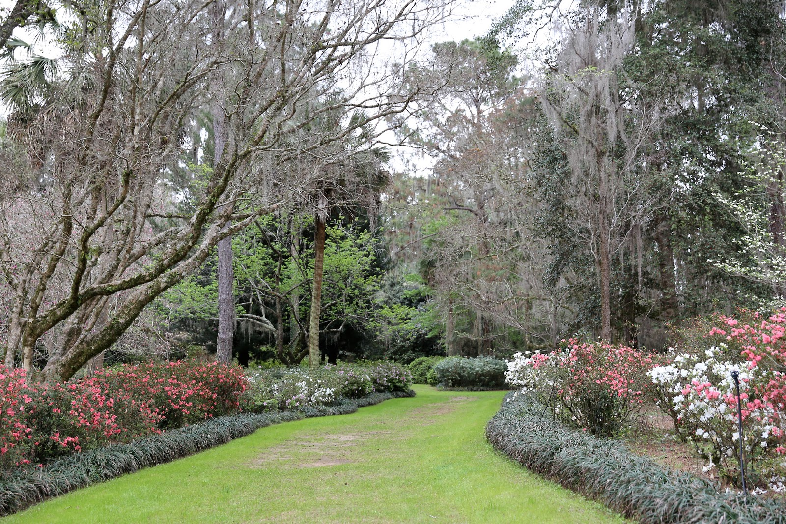 Sweet Southern Days Maclay Gardens in Tallahassee, Florida