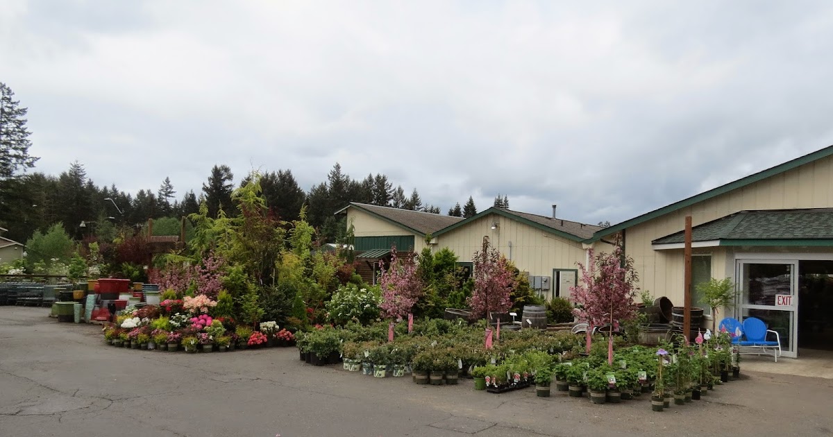Bigfoot sighting at Bark and Garden Center, Olympia