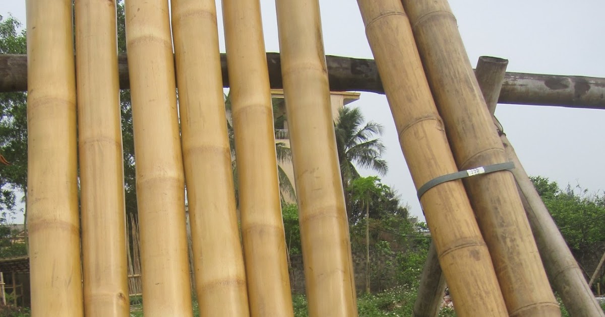 Best Bamboo Cane/ Pole /Stake all decor ideas for Fences,Custom Bamboo