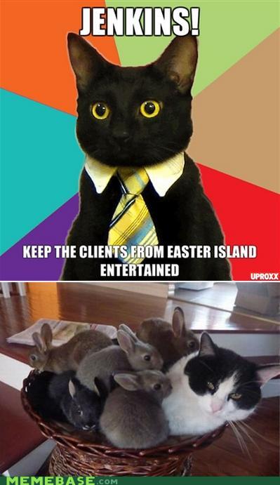 memes-business-cat-easter-island.jpg
