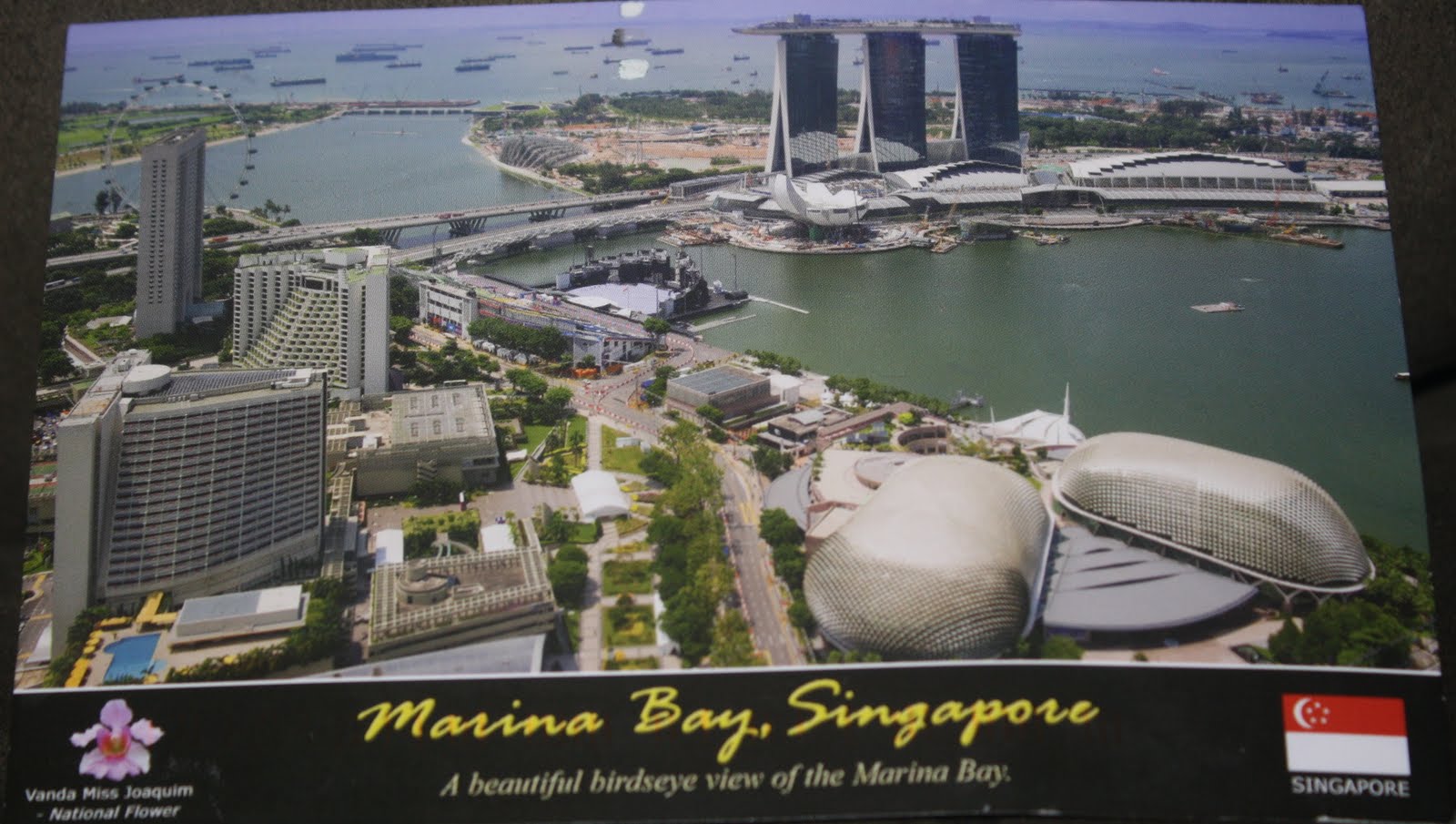 New Beginnings Postcard from Singapore