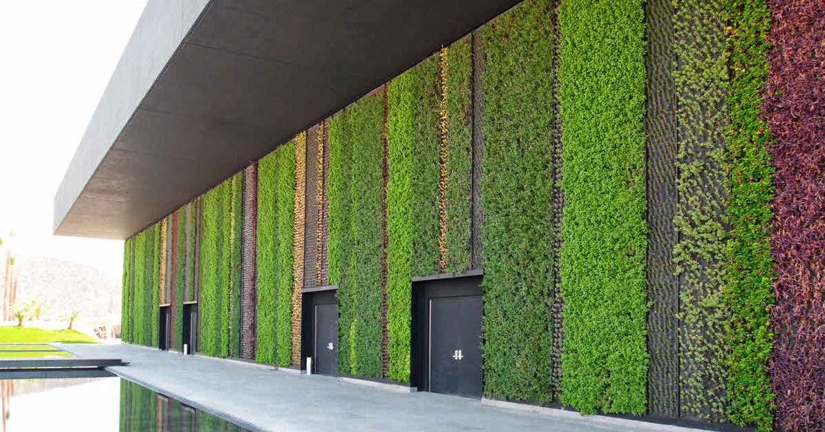 Hablemos de plantas: Cómo Hacer Jardines Hidropónicos Verticales