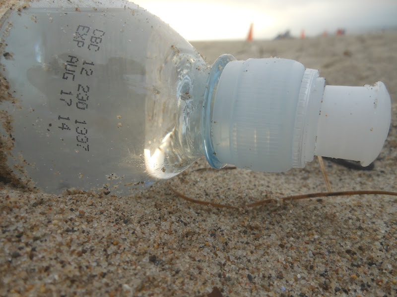 the daily ocean Aug 22, 2012