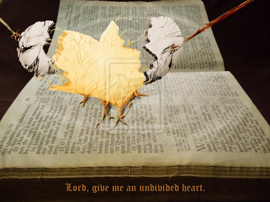 Anchored forever UNDIVIDED HEART