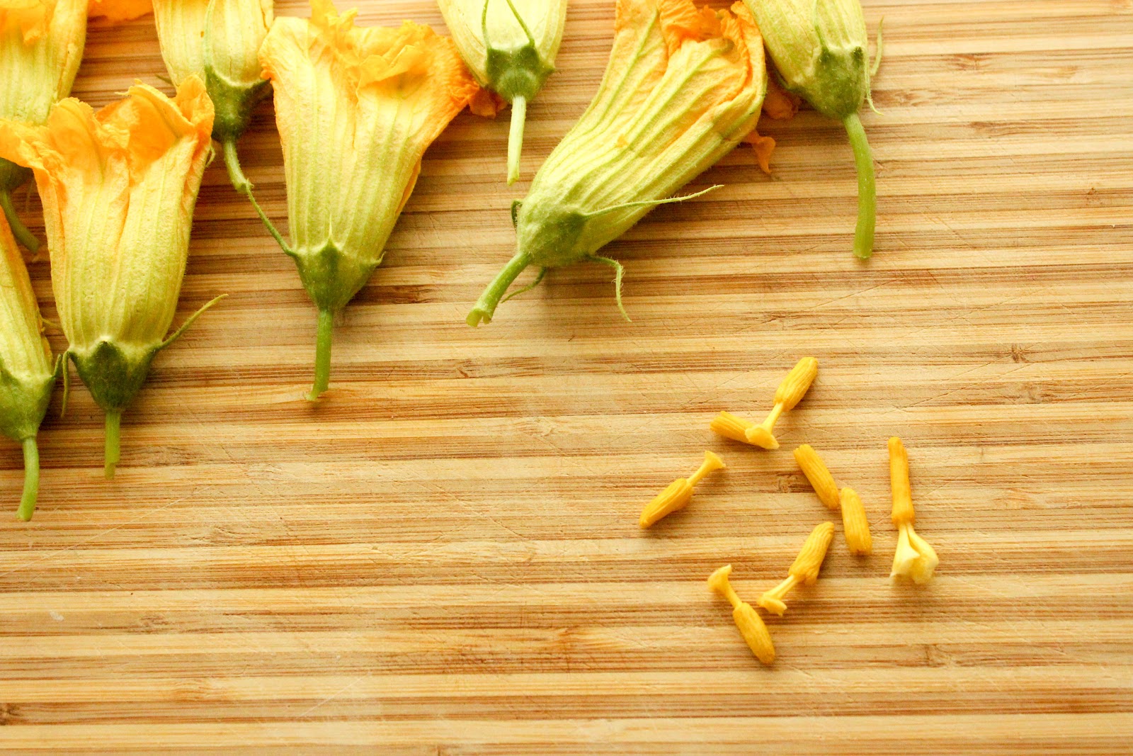 From Dahlias to Doxies Goat Cheese Stuffed Zucchini Blossoms