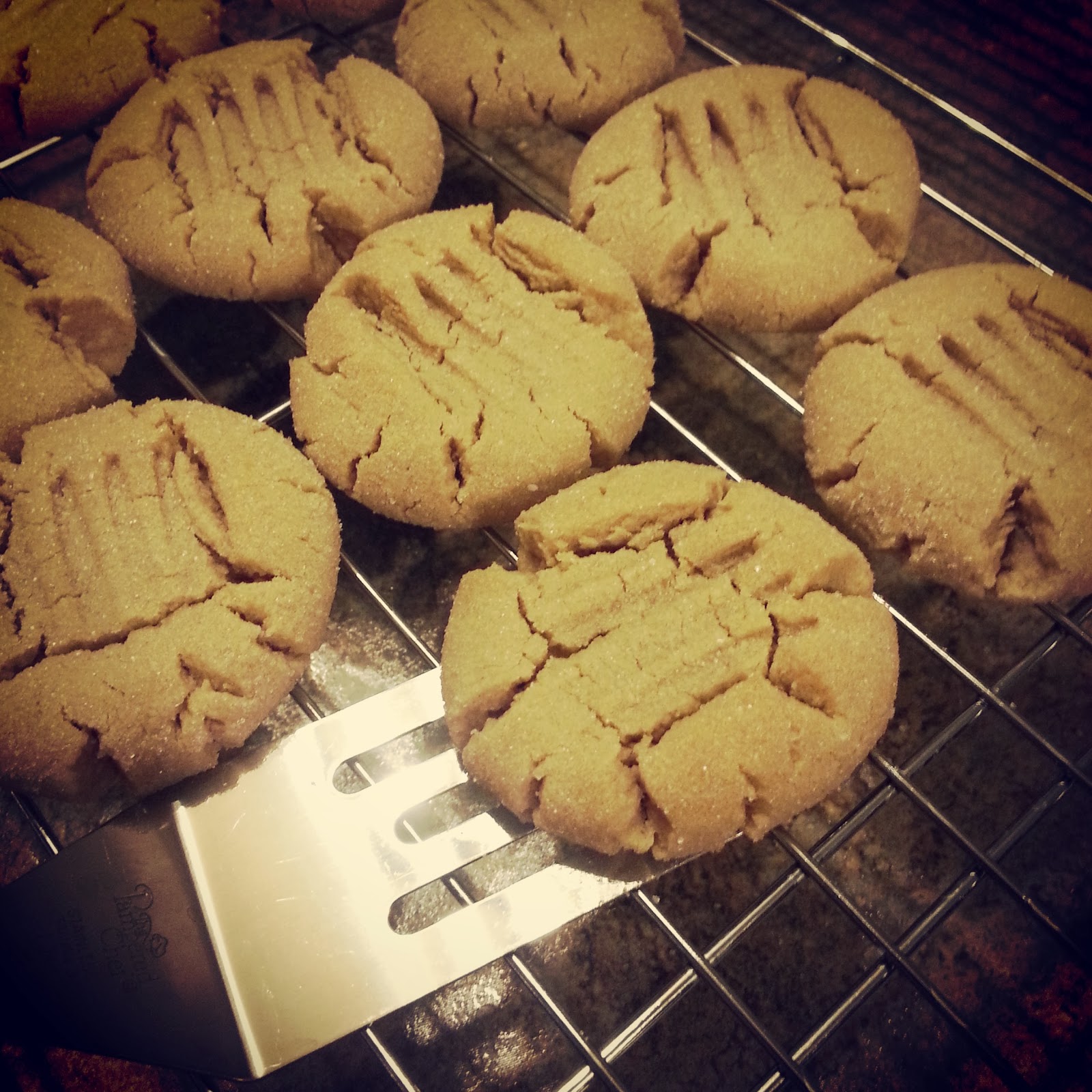One Smile Every Day Day 37 Baked Cookies for My Neighbors