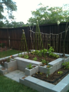 Mia's Garden: April 2012