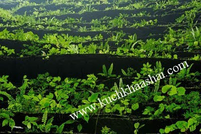 www.kuchkhaashai.com