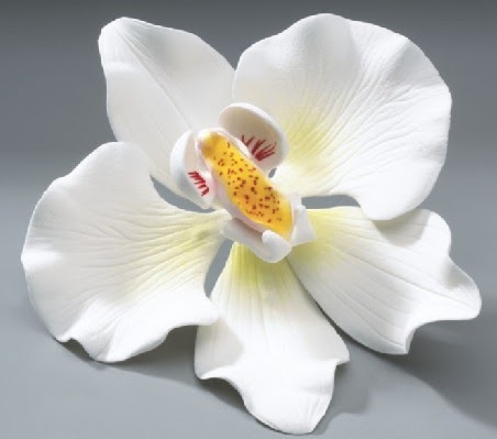 Cake Decorating Classes San Fernando Valley Cake Decorating Classes San Fernando Valley
