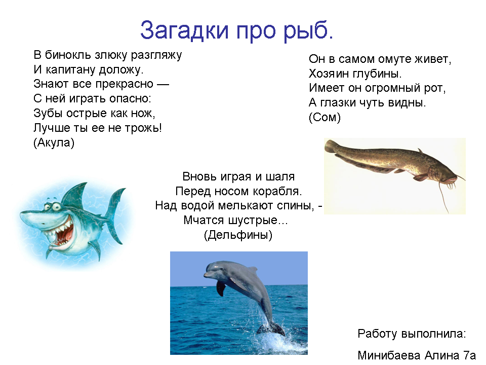 Поздравления с днем рождения руководителю женщине Поздравления с днем рождения для Натальи. Смс в стихах