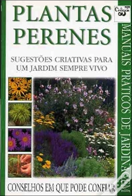flores jardim perenes:Vida Suculenta: Plantas Perenes: sugestões criativas para um jardim flores jardim perenes:Vida Suculenta: Plantas Perenes: sugestões criativas para um jardim