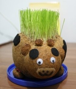 22t Cara Membuat Boneka Horta