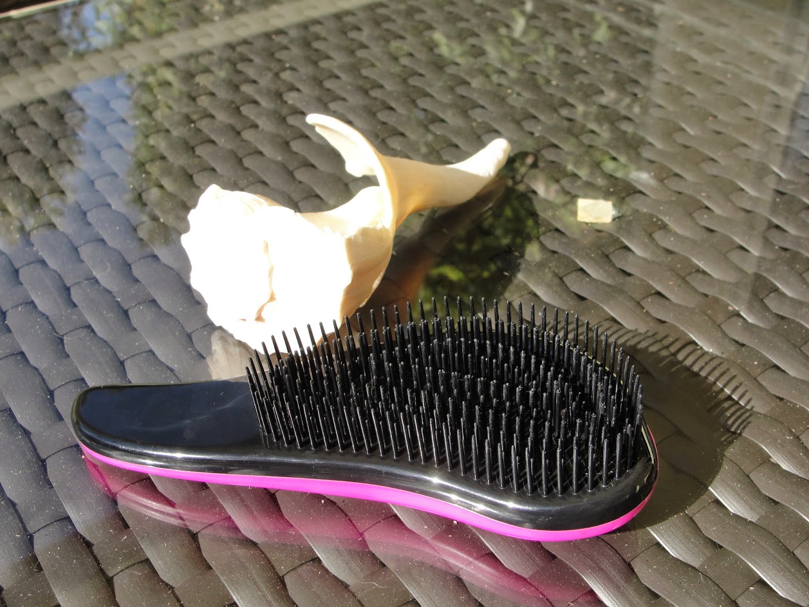 Crave Naturals Detangling Brush Review
