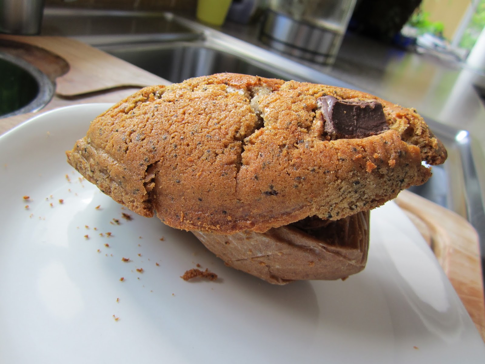 Snacking Squirrel The Biggest Muffin Top