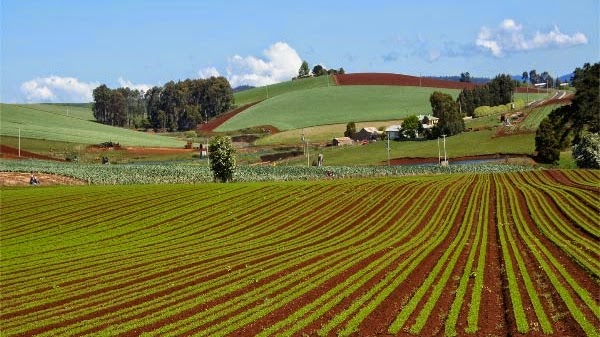 quartier prostituées tel aviv