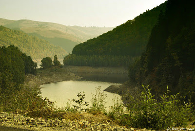 Transalpina  (DN 67C)