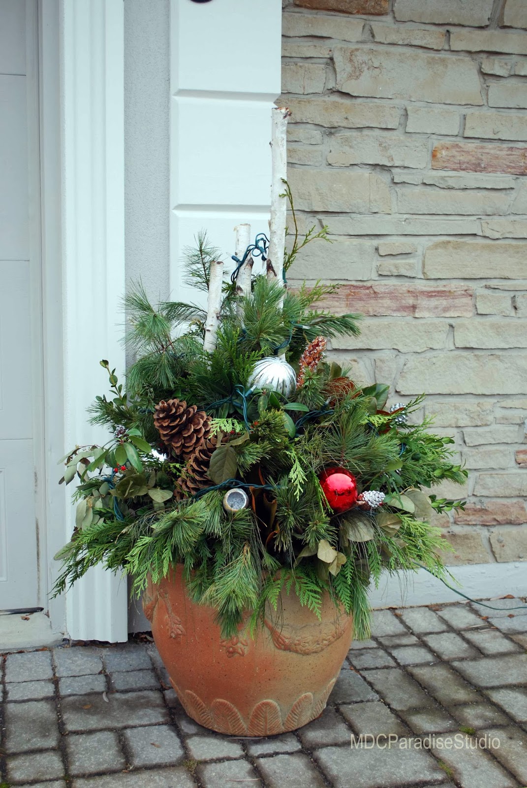 PARADISE FLORAL STUDIO Christmas outdoor pots