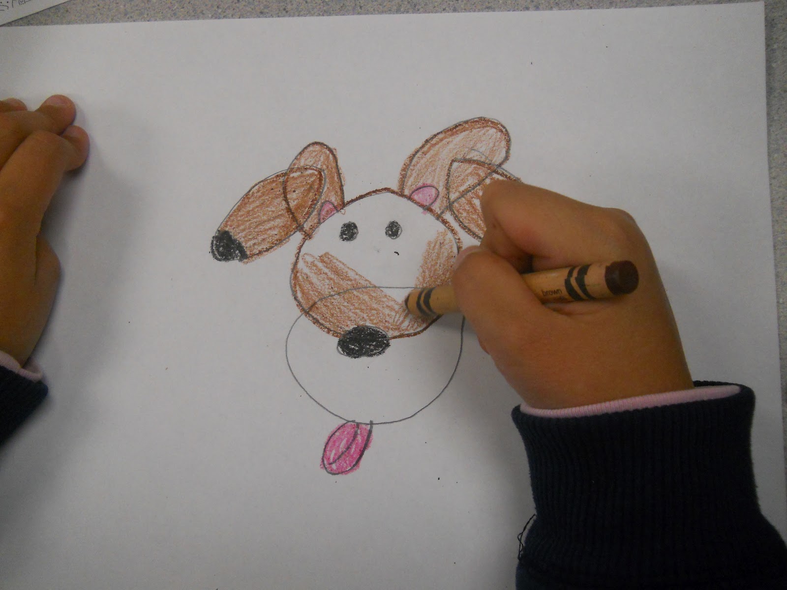 Cargo Logistics & Trade Solutions