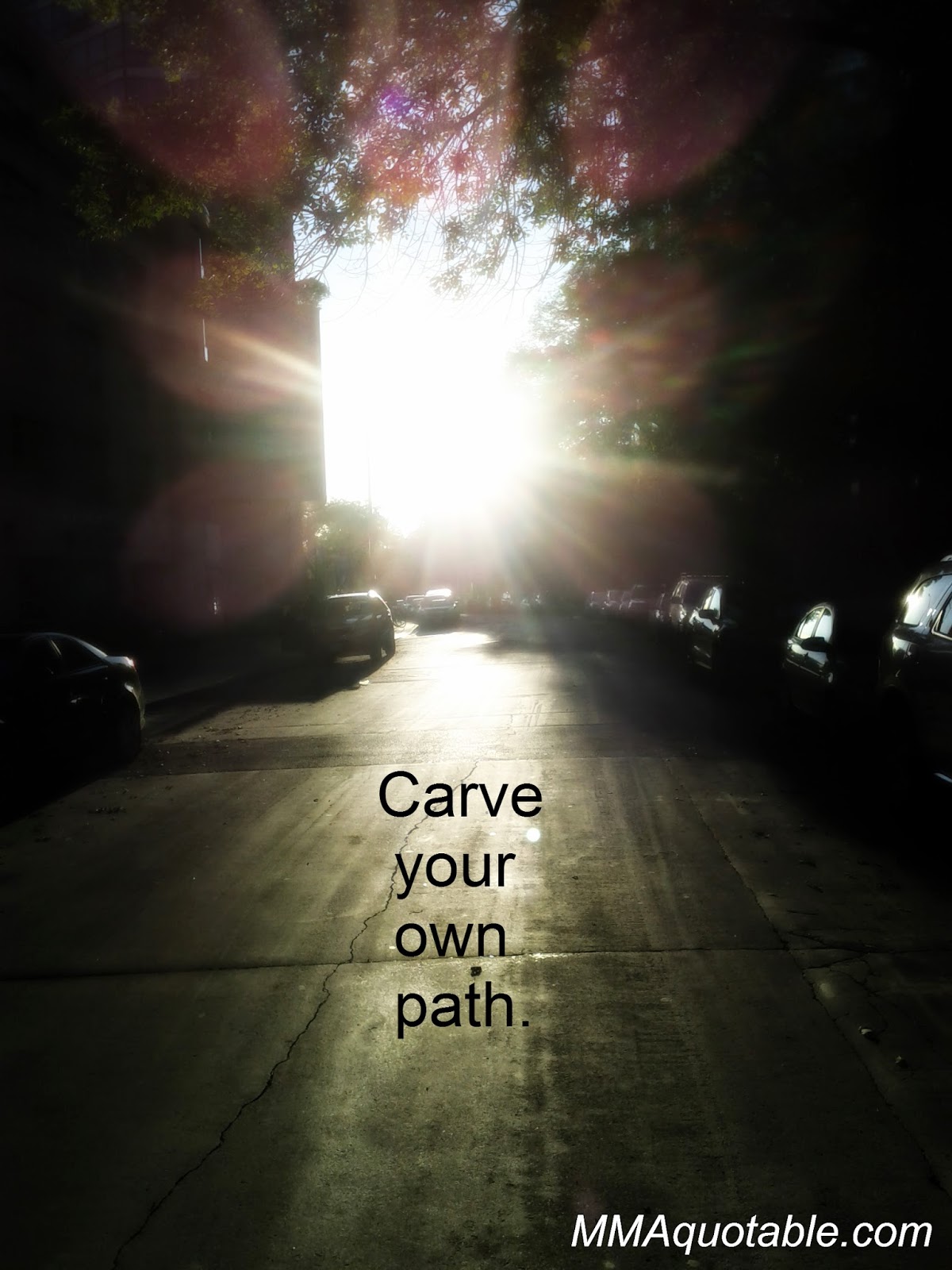 Motivational Quotes with Pictures (many MMA & UFC) Carve your own path.