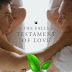 The Falls Testament of Love 2013