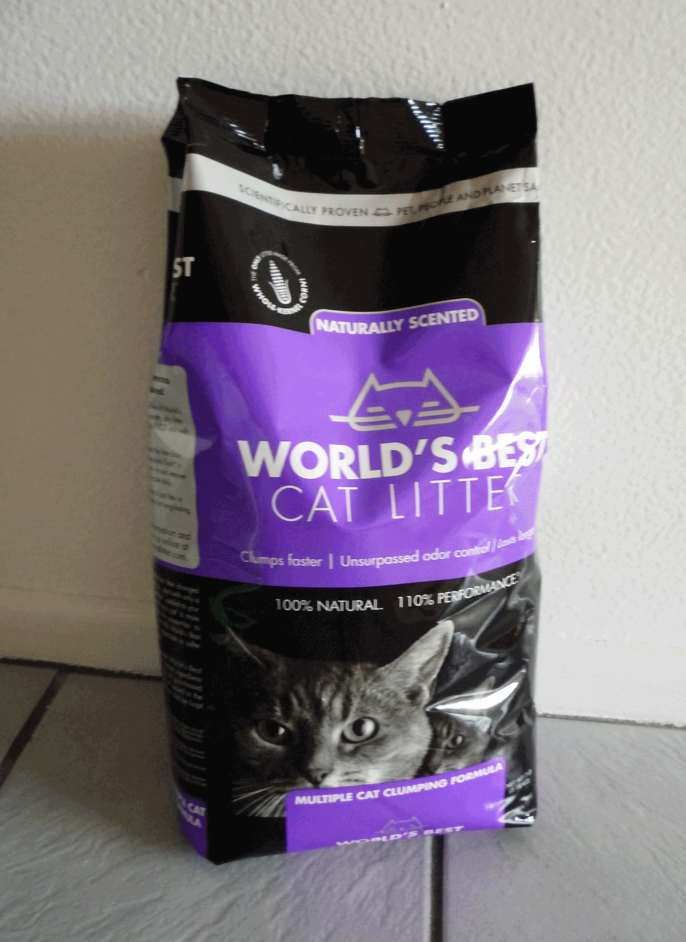 Your Daily Cute Lavender Litter? YES! World's Best Cat Litter Giveaway!