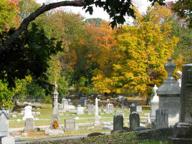 Myndblow 23 Photos Of Celebrity Open Casket Funerals That Will