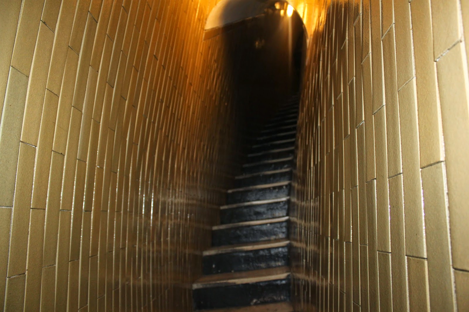 Vita Scholasticorum VISITA AL CUPOLONE DI SAN PIETRO