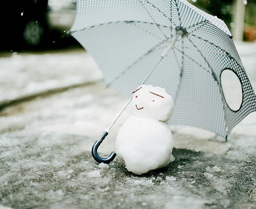 happy winters snow fall photography wallpapers life time photography