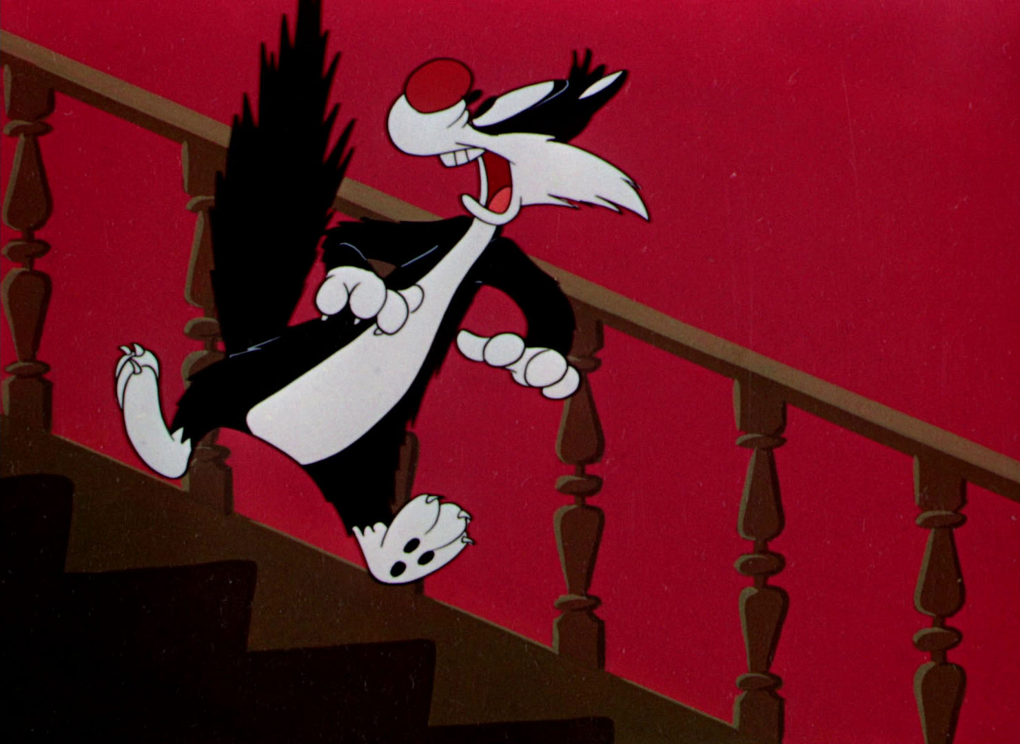 Looney Tunes Pictures: "Scaredy Cat"
